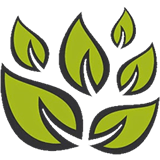 University of Cumbria Icon